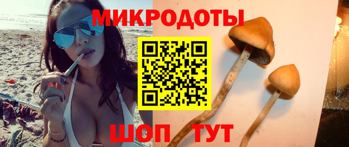 Галлюциногенные грибы GOLDEN TEACHER  Вход с VPN  Можайск  наркошоп  Галлюциногенные грибы Cubensis 