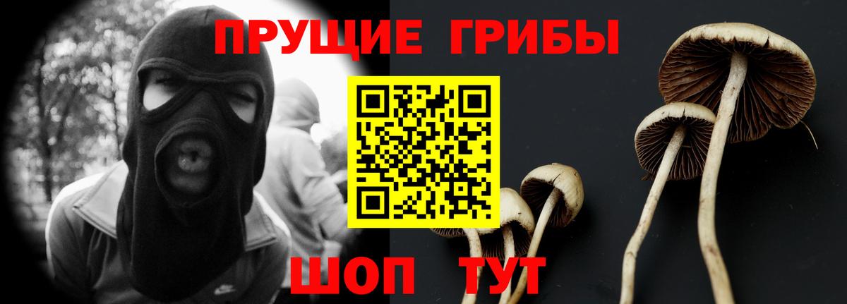Псилоцибиновые грибы ЛСД Можайск